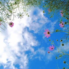 『決意の朝に』