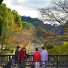 ねぇ…こっち向いてょ