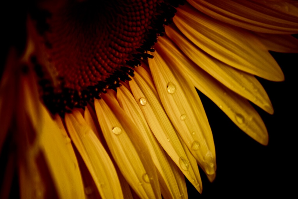 『 MR.RAINDROP』