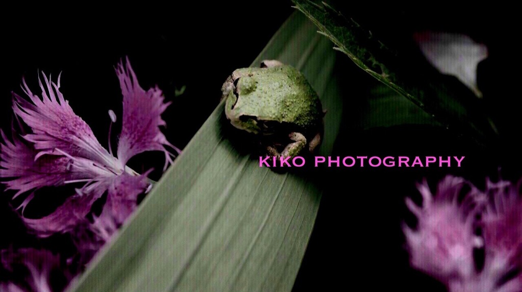 『Image』