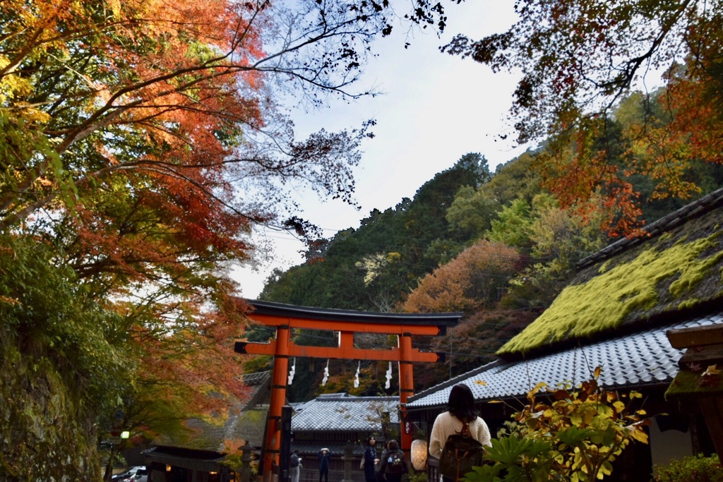 .*･ﾟ鳥居本の秋.ﾟ･*.