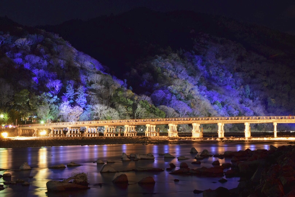 .*･ﾟ花灯路❁﻿2018.ﾟ･*.