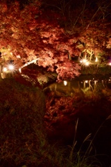 『真紅の水鏡*.+ﾟ』