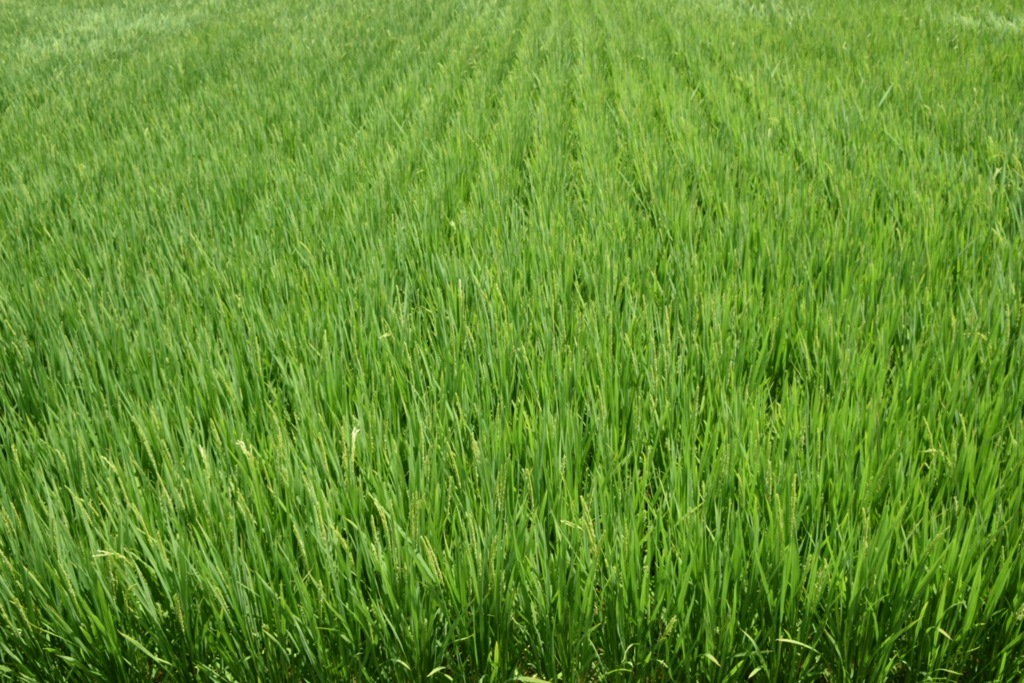 ゜:。明日も仕事…* ゜.