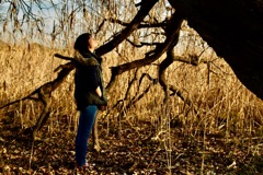 『Story…No.5』