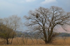 『風～The wind knows how I feel～』