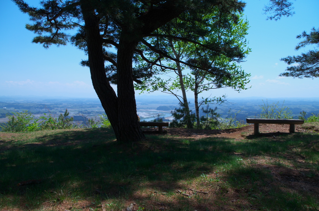 山頂の木陰