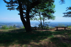 山頂の木陰