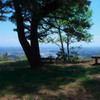 山頂の木陰