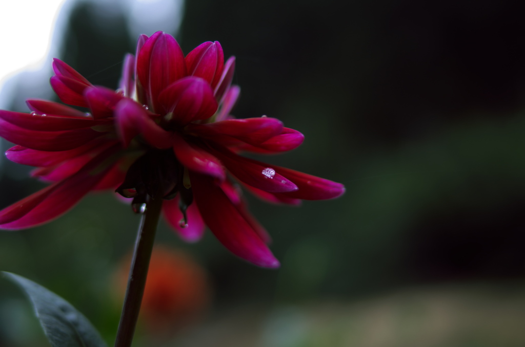 Dark Magic