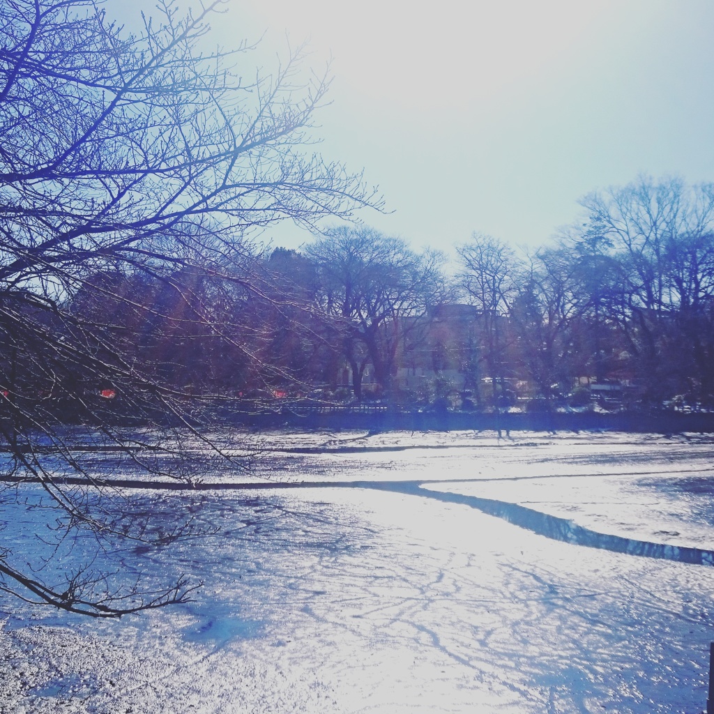 凍った井の頭公園