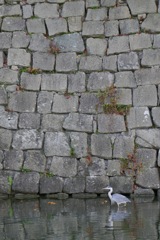 P1060182