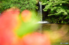 水場