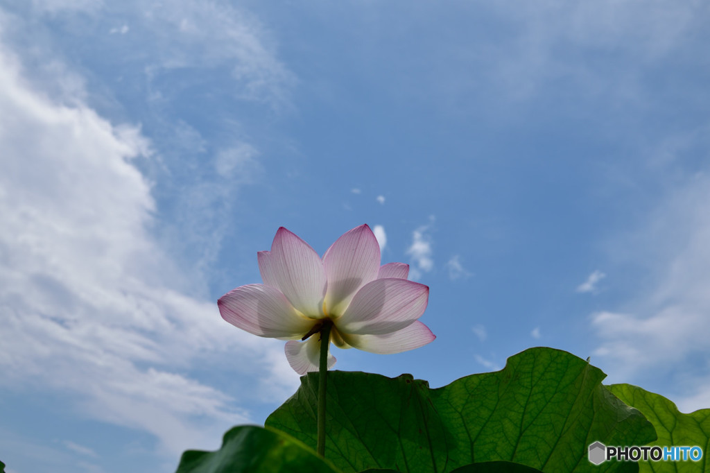 晴れたぞ