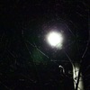 夜
