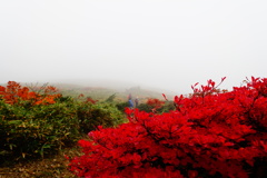 秋の山路