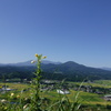 天高く