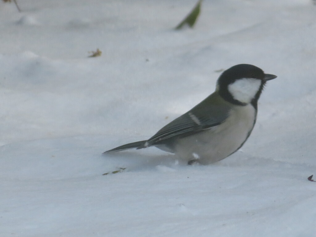 足が埋まる～