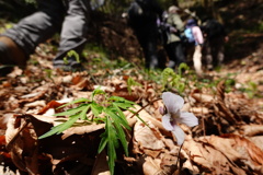 登山者の足元で