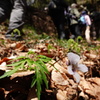 登山者の足元で