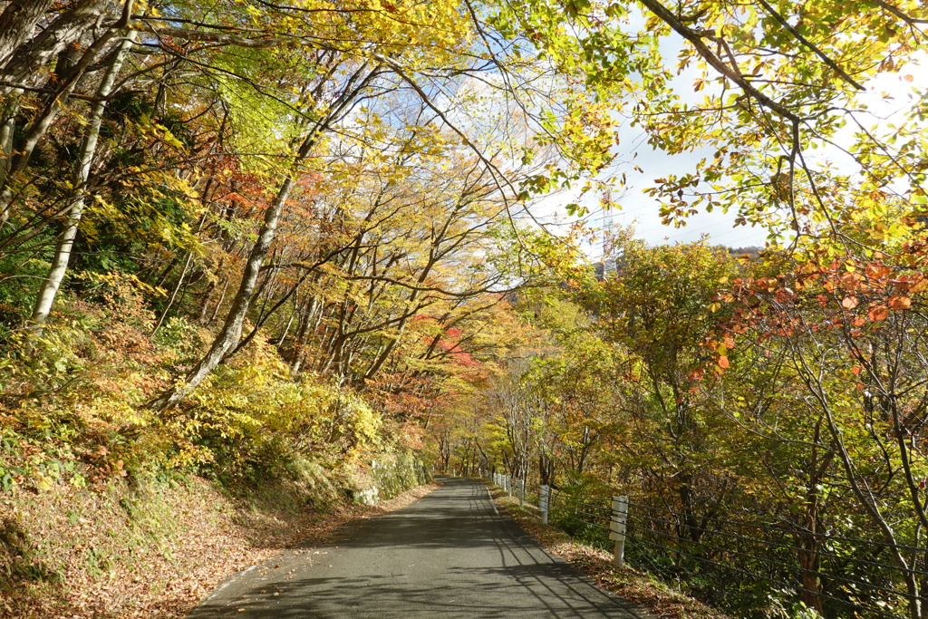 紅葉のトンネル