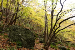 自然庭園