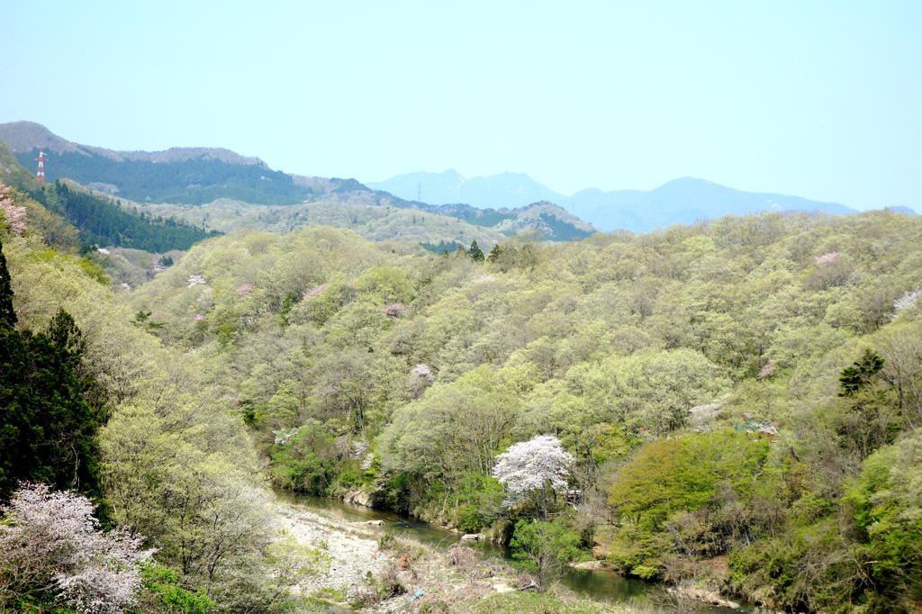 緑萌える