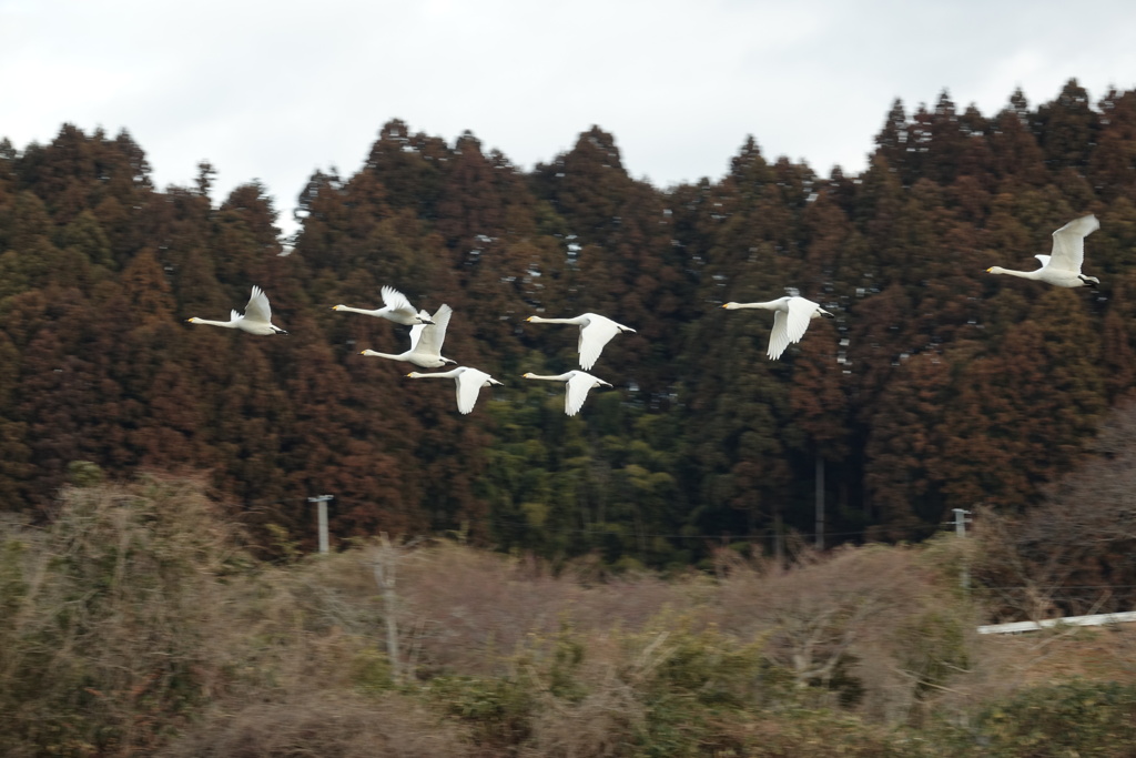さ―行こう