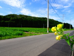 秋の気配