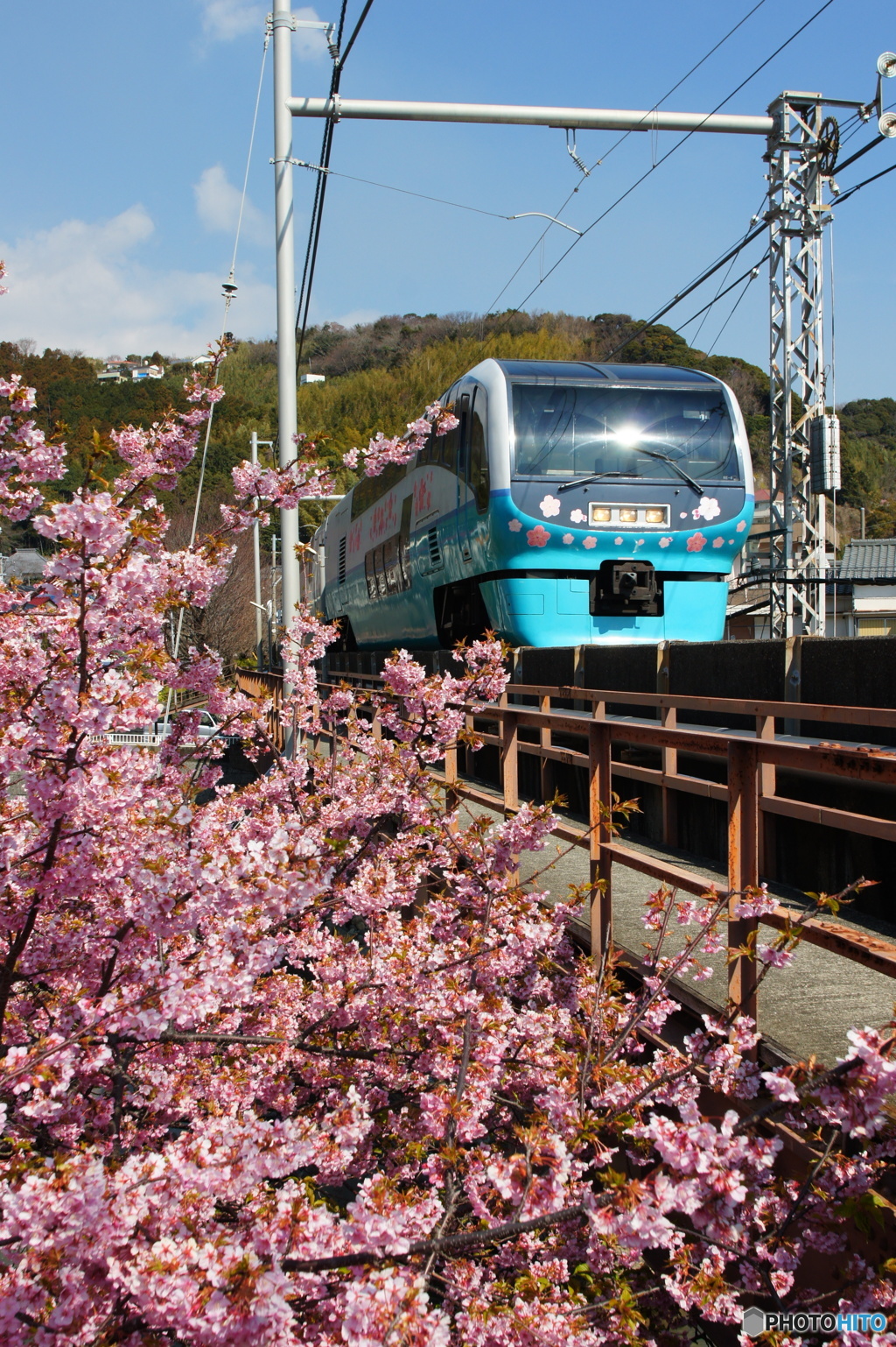 桜見電車１
