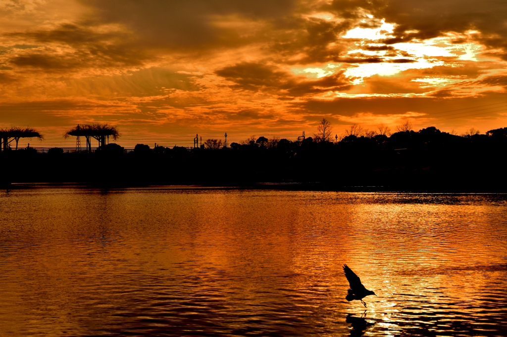 ある公園の夕景