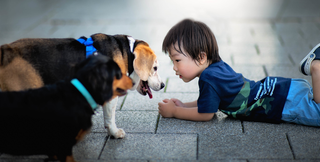 犬と会話