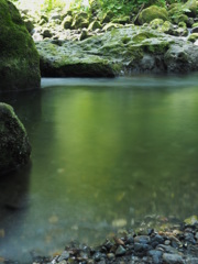 梅雨明け間近