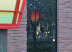 花見