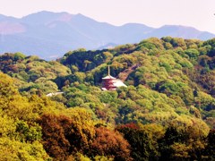 遠望