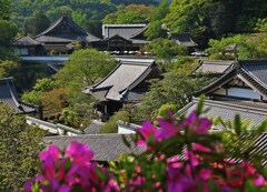 遠景