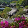 遠景