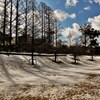 雪影
