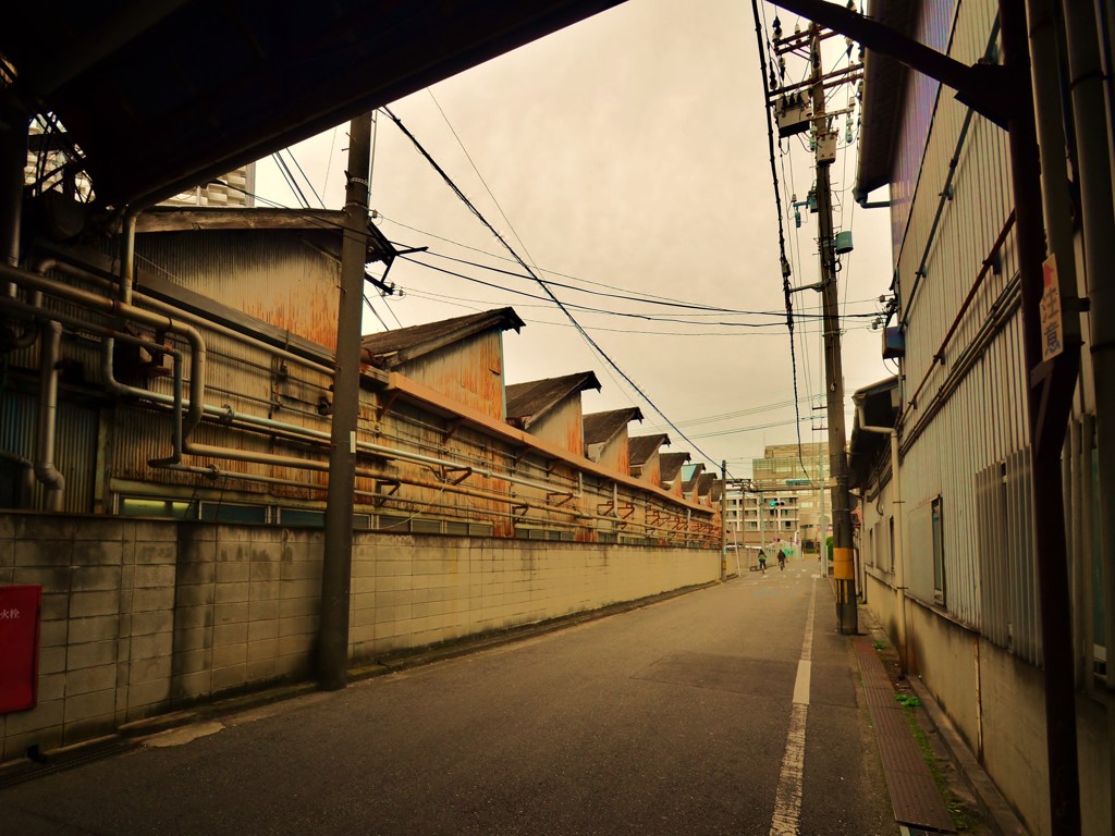 道路