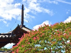 夏終