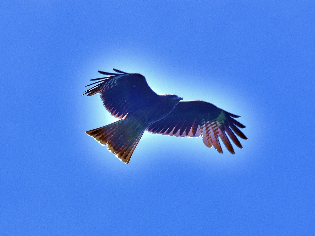 逆光