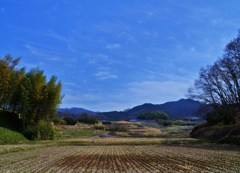 蒼春