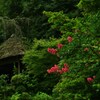 華と茶屋