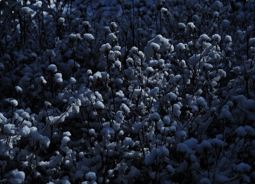 雪玉