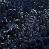 雪玉