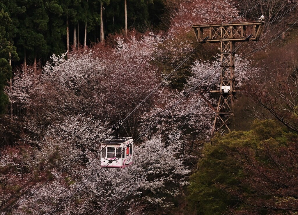 空中