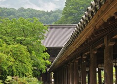 霧の屋根