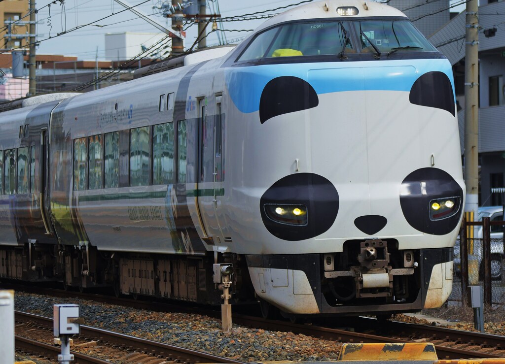 パンダ