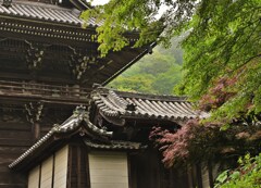 霧の仁王門