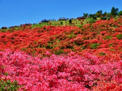 紅山